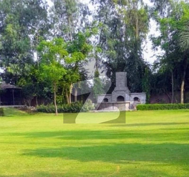 بیدیاں روڈ لاہور میں 22 کنال زرعی زمین 28.6 کروڑ میں برائے فروخت۔