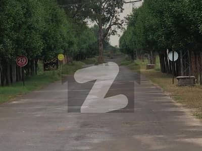برکی روڈ کینٹ,لاہور میں 2 کنال رہائشی پلاٹ 80.0 لاکھ میں برائے فروخت۔