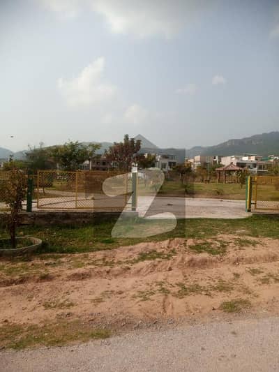 Commercial Plot For Sale In D-12
