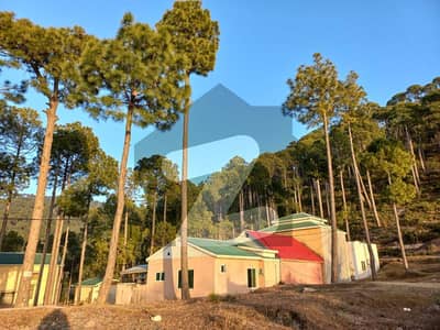 10 Marla Plot For Sale On Murree Expressway