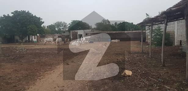 Commercial Space Available For Rent Cattle shades Available for rent