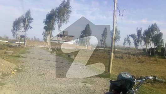 Get A 5 Marla Residential Plot For Sale In Palosi