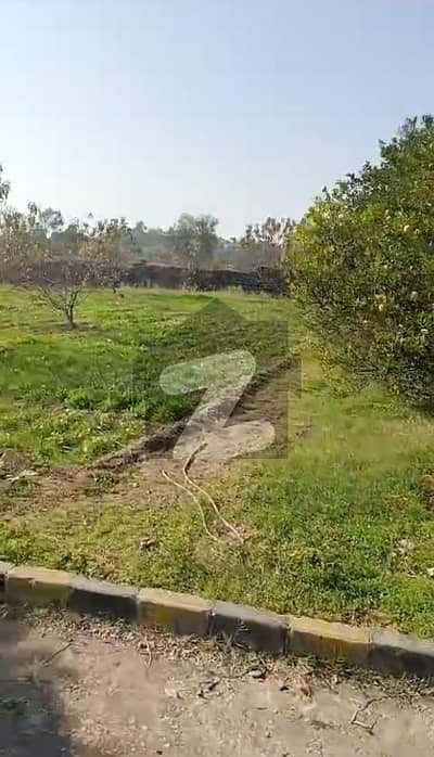 20-Kanal plus 5-kanal Extra Land Farm House Available On Sale On Best Location All Over Pak Naval Farm Housing Scheme Islamabad. .