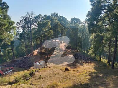 5 Marla Posessionable Plot For Sale In Murree Resort