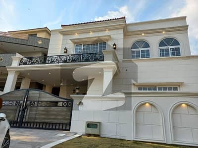 Designer Brand New House For Rent In D-12/1