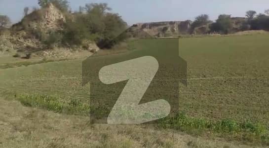 217 Kanal Agriculture Land For Sale Dhudial