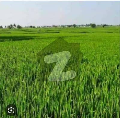 ڈی ایچ اے فیز 10 ڈیفنس (ڈی ایچ اے),لاہور میں 8 کنال زرعی زمین 2.0 کروڑ میں برائے فروخت۔