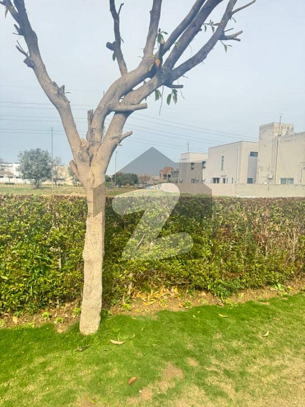 1 Kanal Plot For Sale In Dha Phase 6 E Block