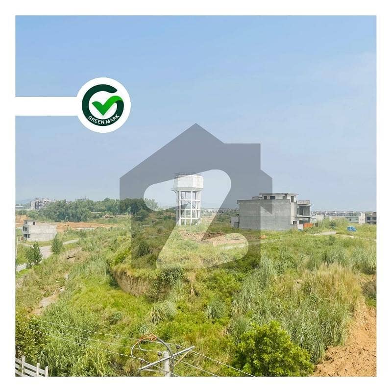 Pair Plot Available For Sale in University Town Islamabad