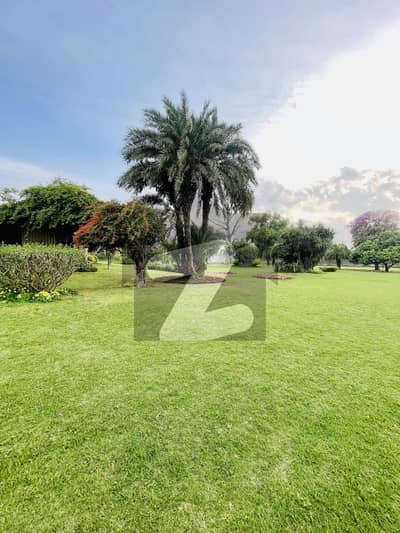 3 Kanal Farm House For Sale Bedian Road Lahore