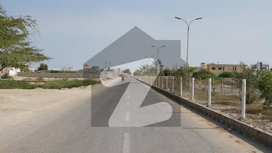 Farmhouse Available in Gwadar: Ideal for Starting Your Dairy Farm Business!
                                title=