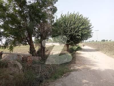 خانپور روڈ رحیم یار خان میں 24 کنال زرعی زمین 1.2 کروڑ میں برائے فروخت۔