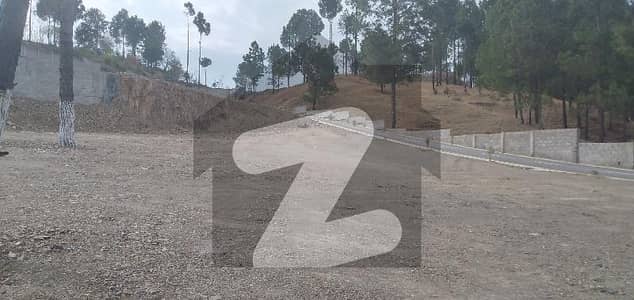 23 Marla Plot For Sale At Habibullah Colony Shimla Street