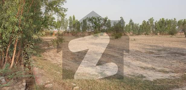 Budduke Manak Road Agricultural Land Sized 61 Kanal Is Available
