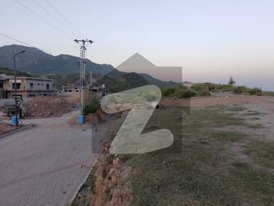Get Your Hands On Residential Plot In Shah Allah Ditta Best Area