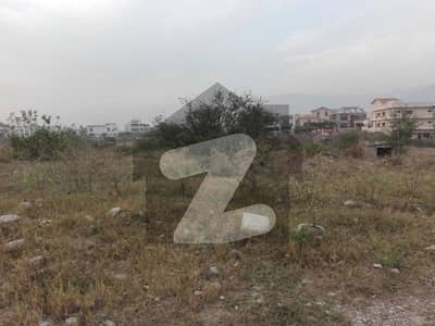 Looking For A Residential Plot In D-12