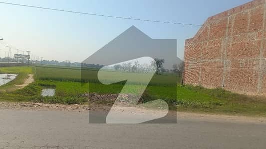 15 Kanal Plot For Sale Agricultural Land