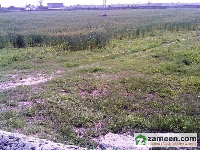 Plot View Plot View