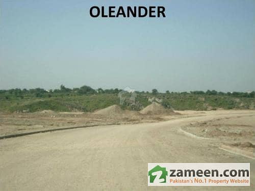 5 Marla Corner Plot In Oleander Sector