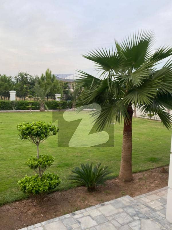 50*120 Commercial Develop Possession Solid Land Plot For Sale In Downtown Gulberg