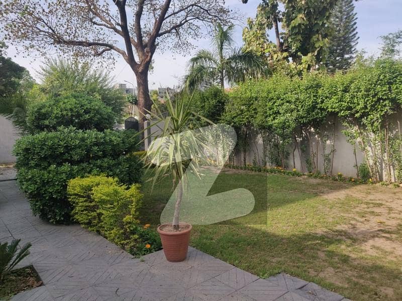 Luxurious 6-Bedroom Renovated House for Rent in F-8 Islamabad - Prime Location!