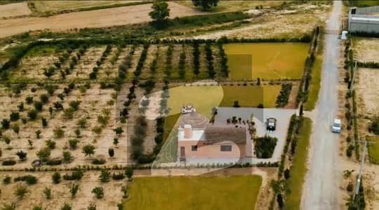 5 kanal orchard farm for sale