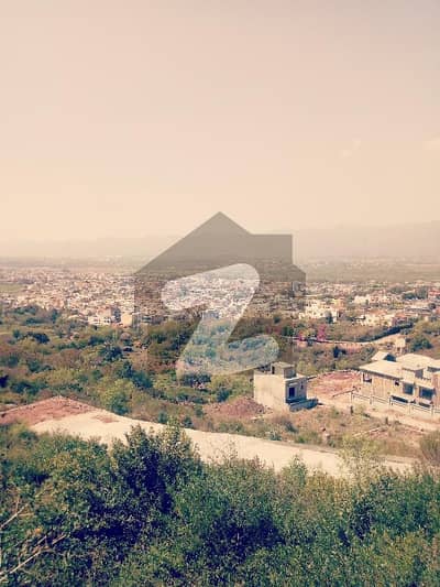 بنی