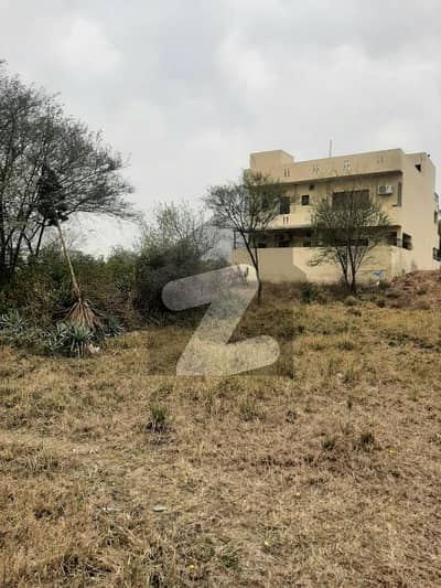 10 Marla Corner Extra land Plot Available For Sale D-12 In Islamabad