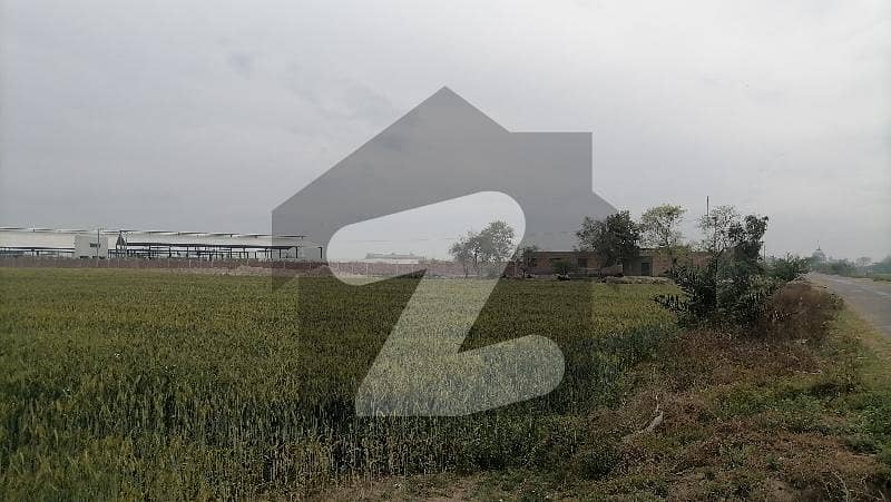 جڑانوالہ روڈ فیصل آباد میں 13 کنال صنعتی زمین 6.5 کروڑ میں برائے فروخت۔