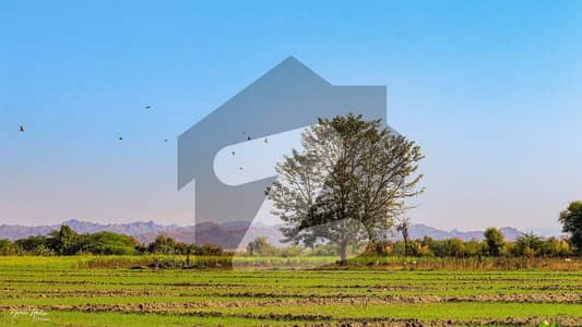 Prime Agricultural Land for Sale in Mouza Ziarat Machi Sharqi, Gwadar