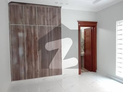 Ideal Lower Portion For Rent In D-12