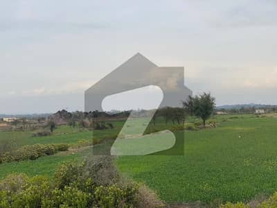 Moza Jangle Near Airport Compact Land 600ft Front Adventures View