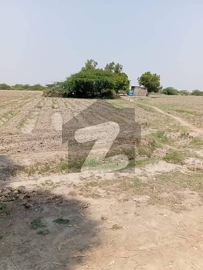 14 Acres Agricultural Land Is Available For Sale In Sultanabad Gharo