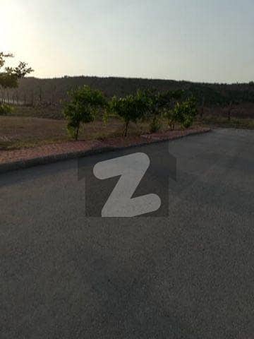 Sector M Size 1 Kanal Ready Plot Available For Sale Highted Location Plot All Charges Paid Ready For Construction