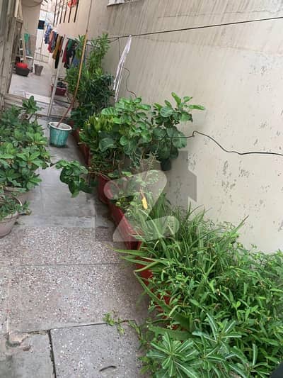 Double Storey 400 Square Yards House For sale In Gulshan-e-Iqbal - Block 6 Karachi