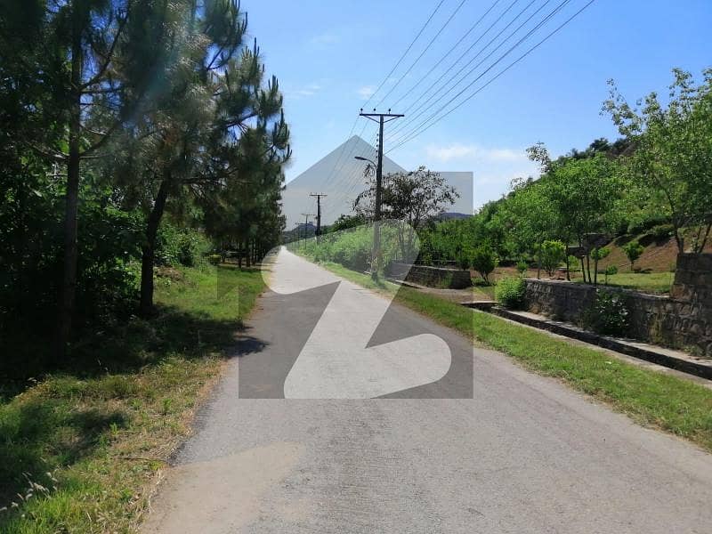 5 Kanal Residential FARM LAND Located In Naval Farms (SEC B) Is Available For Sale