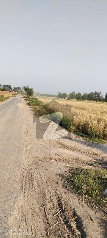 گلیانہ گوجر خان میں 1400 کنال زرعی زمین 3.0 لاکھ میں برائے فروخت۔