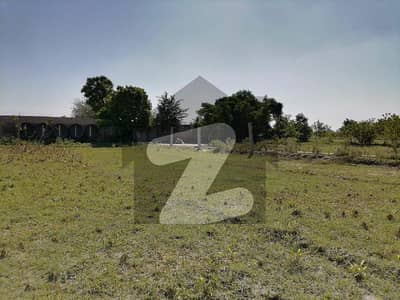 Avail Yourself A Great 26 Marla Commercial Plot In Khurianwala
