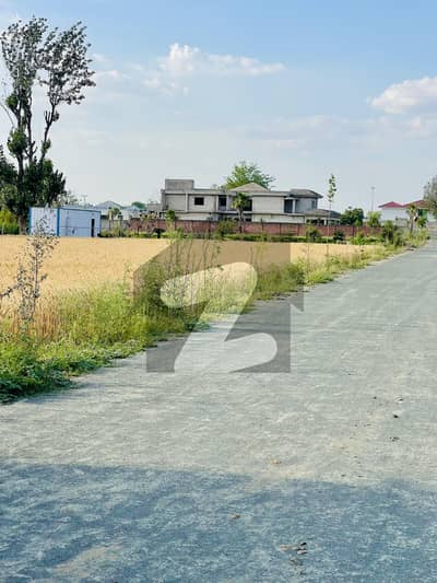 4 Knal Farm House For Sale Bedian Road Lahore