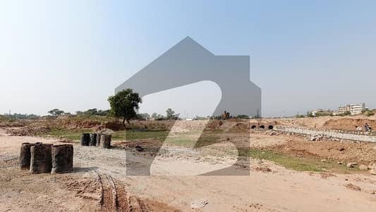 10 Marla Level Plot At Investor Rate