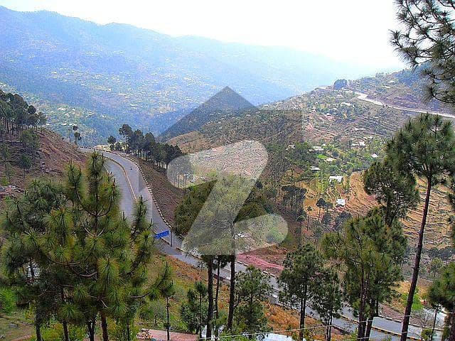Possessionable Plots For Sales In Murree