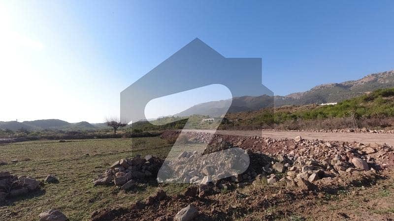 Get This Amazing 20 Marla Residential Plot Available In Shah Allah Ditta