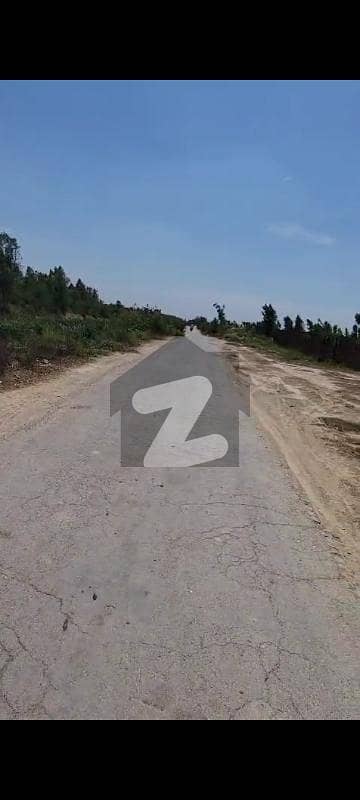 24 Kanal Green Land For Sale