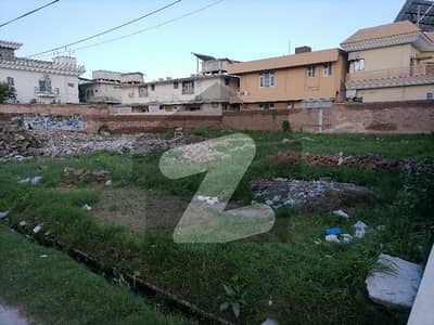 شامی