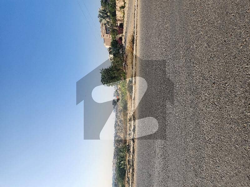500 YARDS PLOT FOR SALE ZONE D