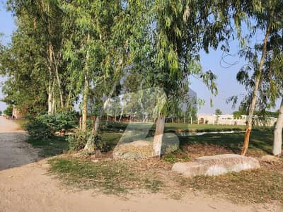 Farm house Land in lahore