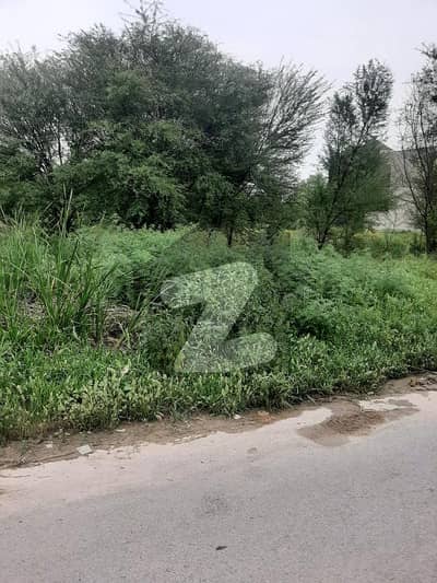 14 Marla Level Awesome Location Plot Available For Sale D-12 In Islamabad