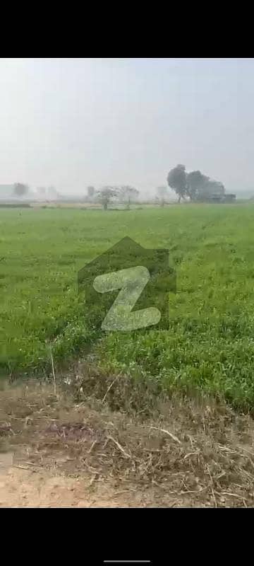 بیدیاں روڈ لاہور میں 1 کنال زرعی زمین 17.0 لاکھ میں برائے فروخت۔