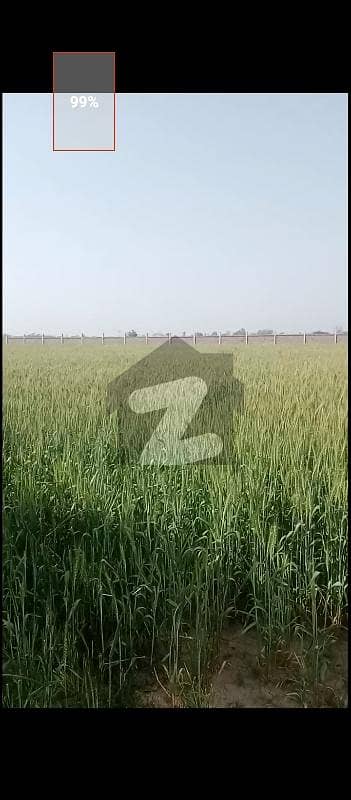 بیدیاں روڈ لاہور میں 8 کنال زرعی زمین 1.3 کروڑ میں برائے فروخت۔