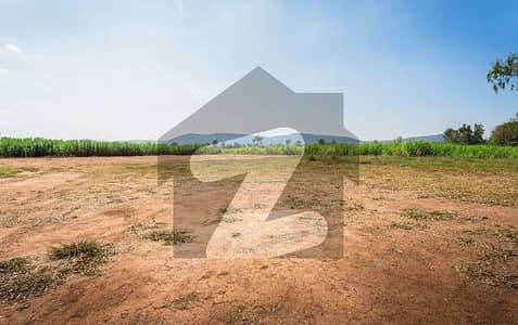 Agriculture Land For Sale